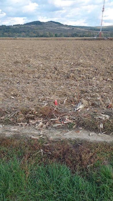 Vand teren intravilan 2150 mp - Bacia