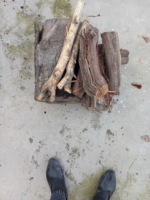 Продаются дрова фруктовых деревьев черешня виноград и хвойных напилены