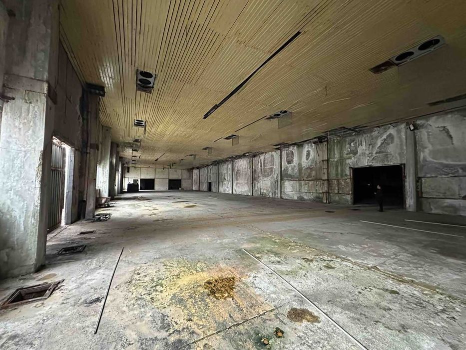 Продава се Промишлена сграда в Пловдив, Индустриална зона - Тракия - 17000 кв.м за 589 €/кв.м - Снимка #7