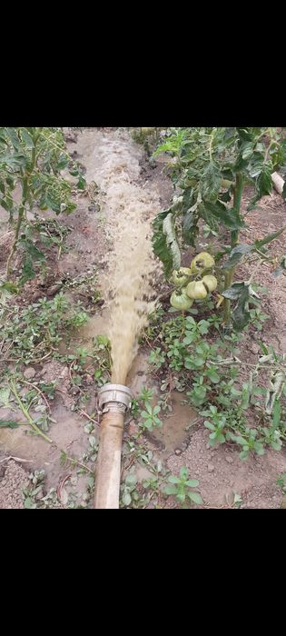 FORAJE PUȚURI Topoloveni, Leordeni, Călinești.– PROGRAMĂRI RAPIDE