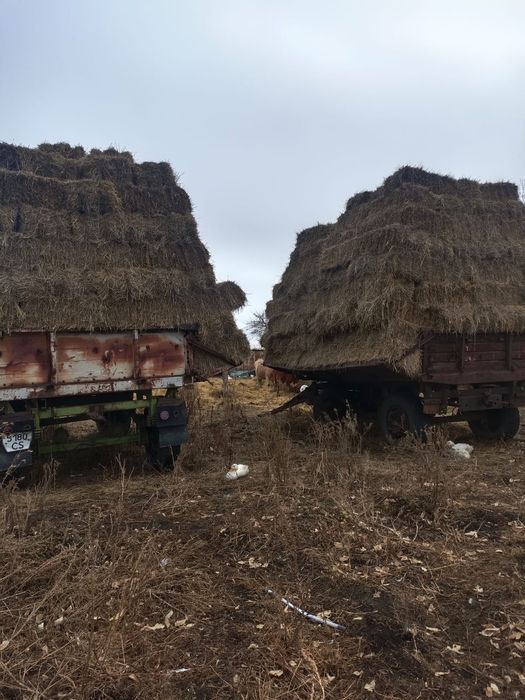 Продам сено,солому недорого