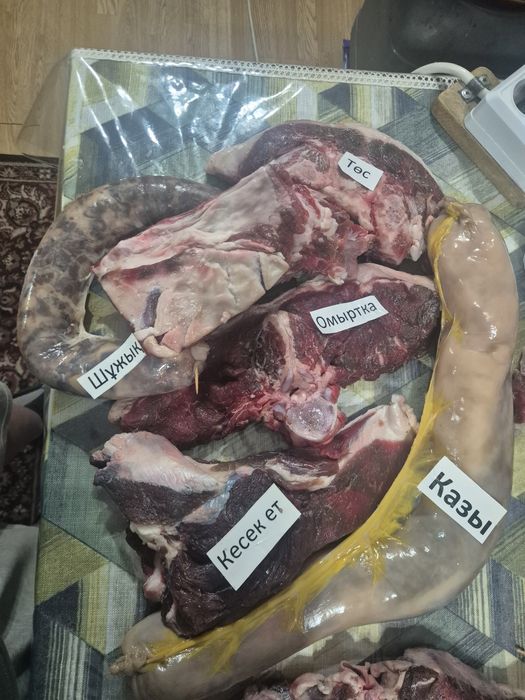 Байталдын еті табақтап сатылады