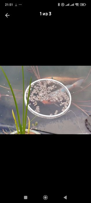 Плавающий корм для Рыб Happy 10кг Fish