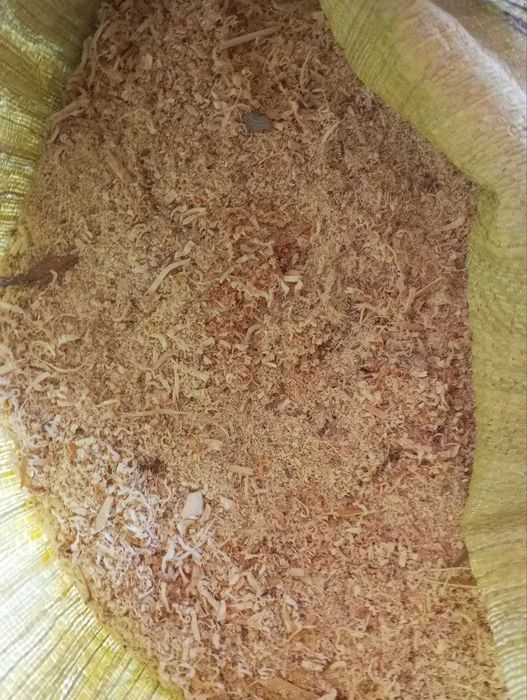 Terak yog'ochдан апилкалар