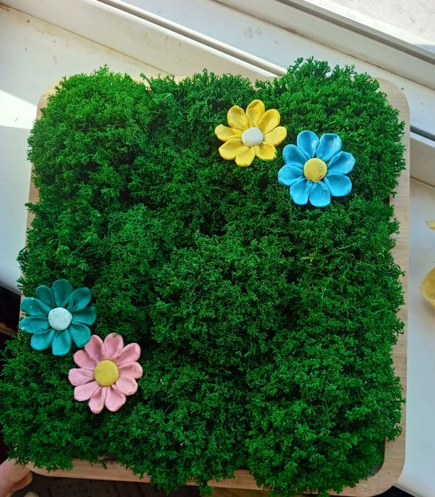 Картина из стабилизированного мха