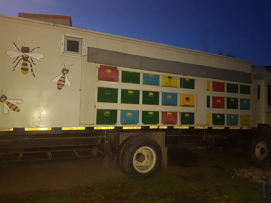 Vând camion apicol marca Saviem
