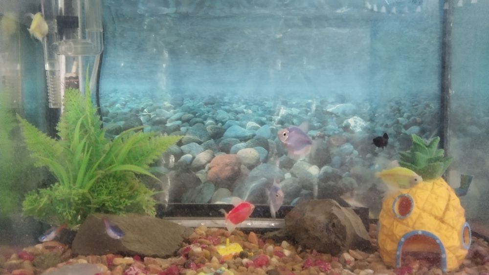 Продам аквариум.