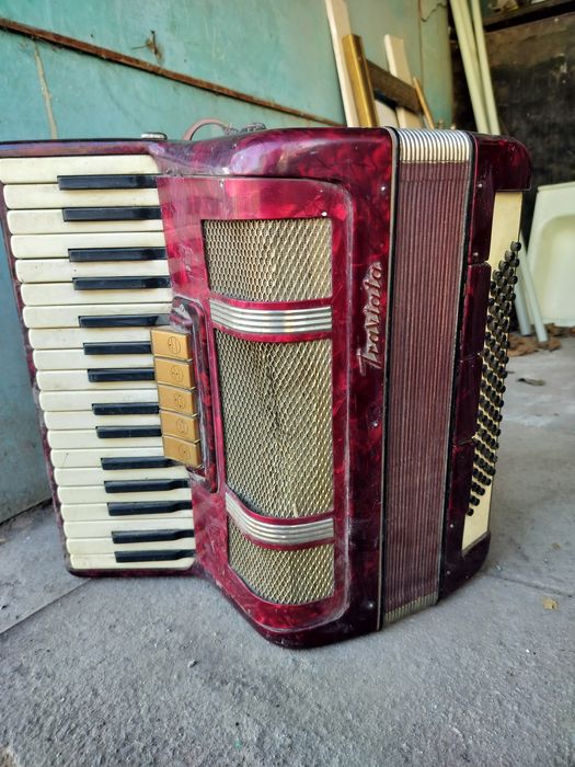 Аккардеон Traviata