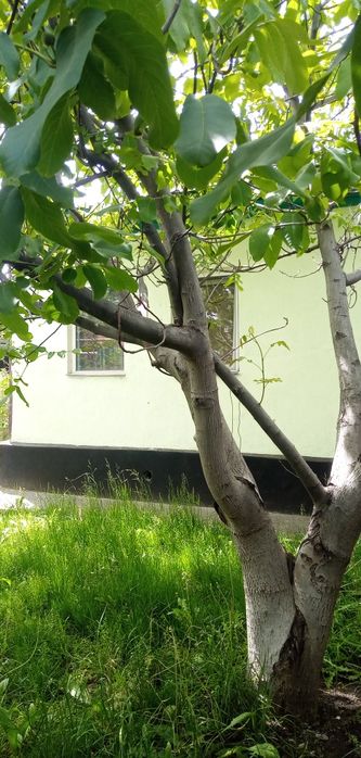 Продам частный дом