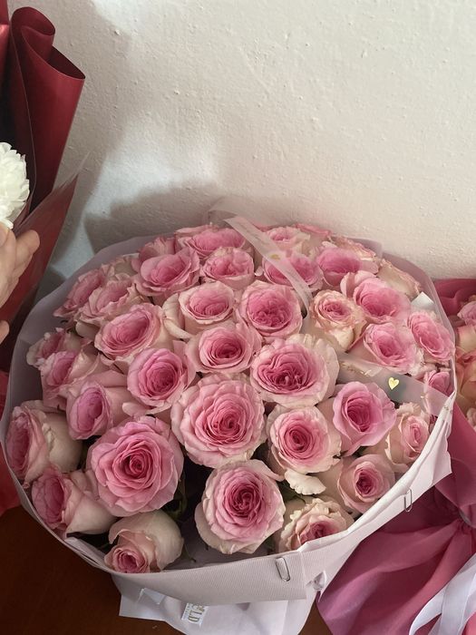 гулдер сатылады багасын келисемиз