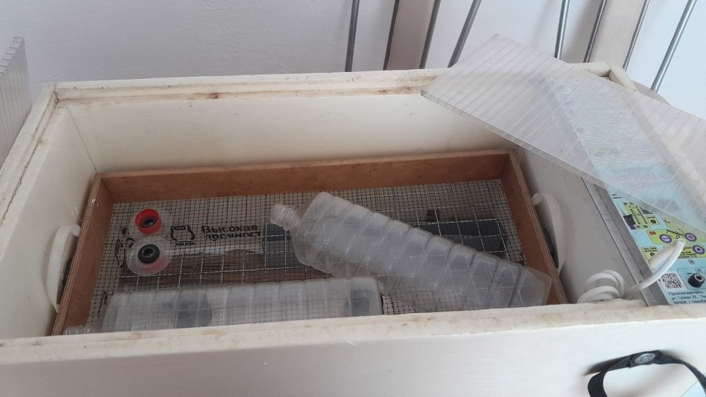 Инкубатор Матрица дели