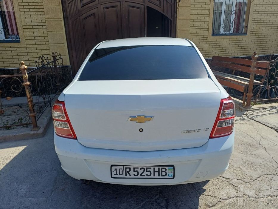Coblt 2024 Oq xolati alo