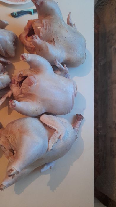 Куры бройлеры домашние свежие