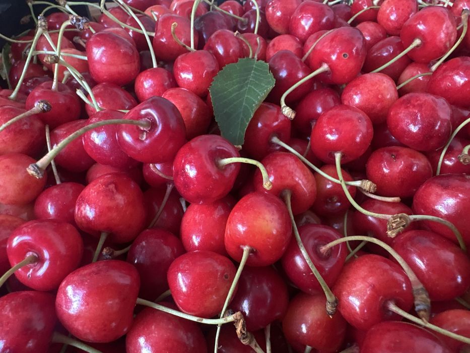 Vand cirese dulci