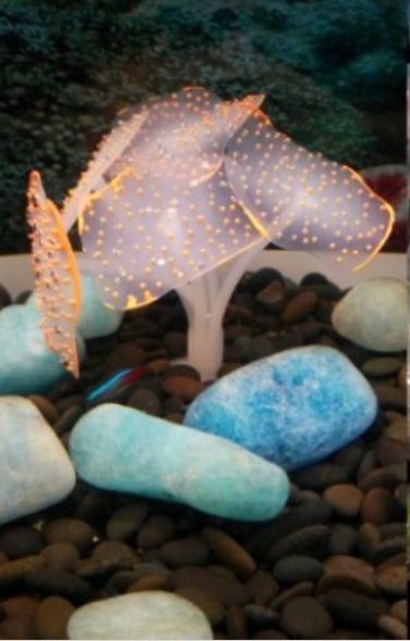 Искусственные кораллы