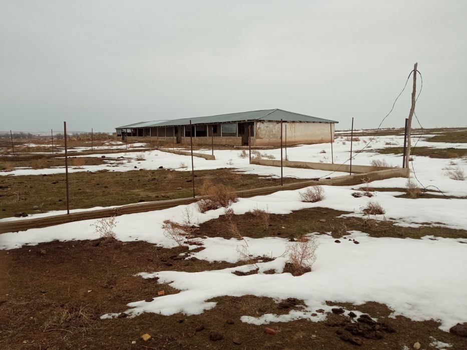 Фазенда туркестански облыс.шаян