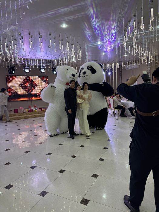 Анимотрский мишки с компрессором