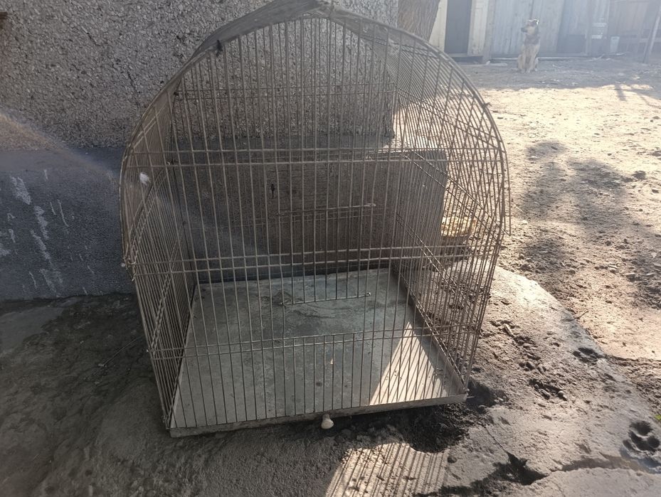 Продам кроликов ,