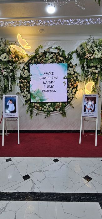 Led.molbert.aktau Лед молберд