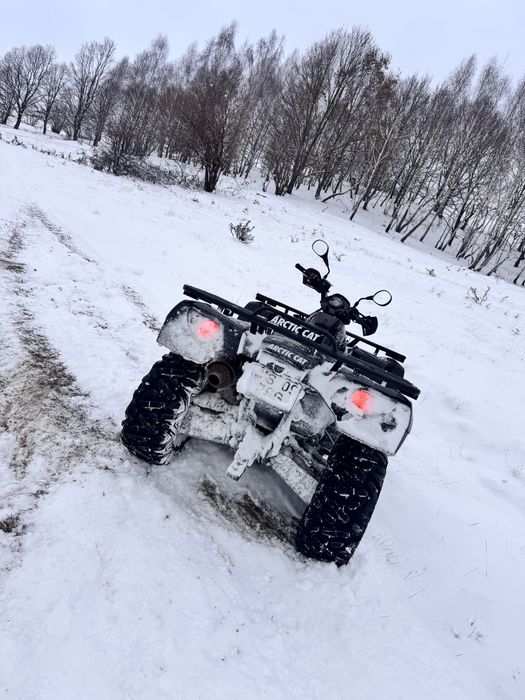 Atv Articat 700EFI