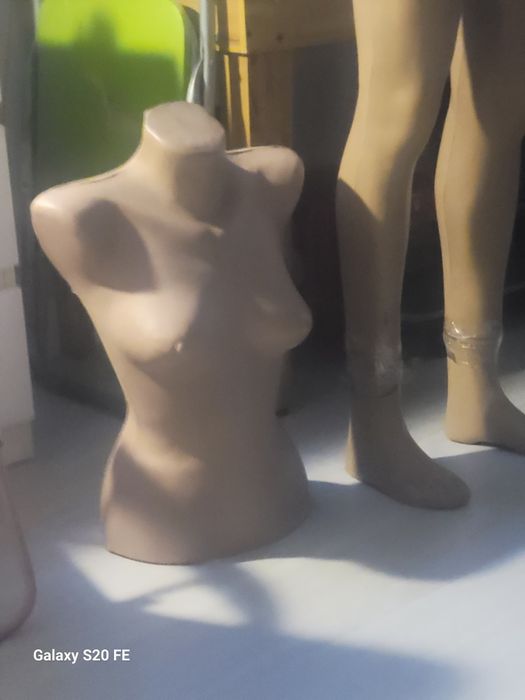 Busturi dama și barbati