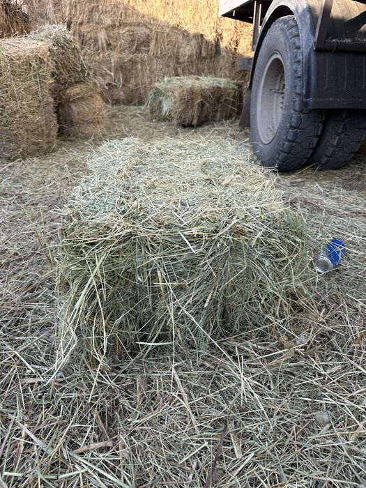 Шөп майда сатылады пресс хороший