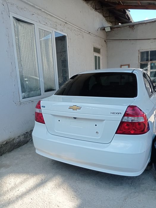 Nexia 2022 exprt variant