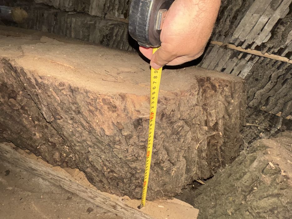 Rondele lemn nuc de peste 300 ani