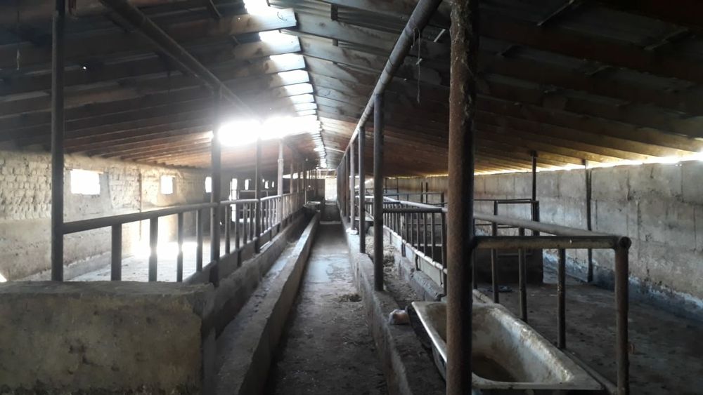 Продаётся ферма (қора )