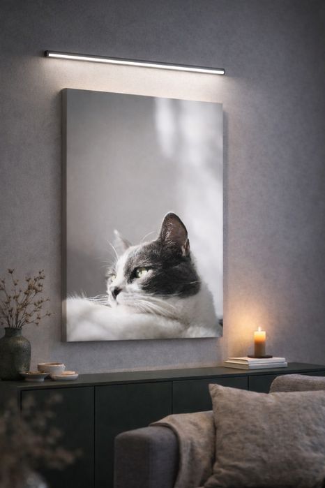 Фотограф за котки | Фото портрет на домашен любимец + канава