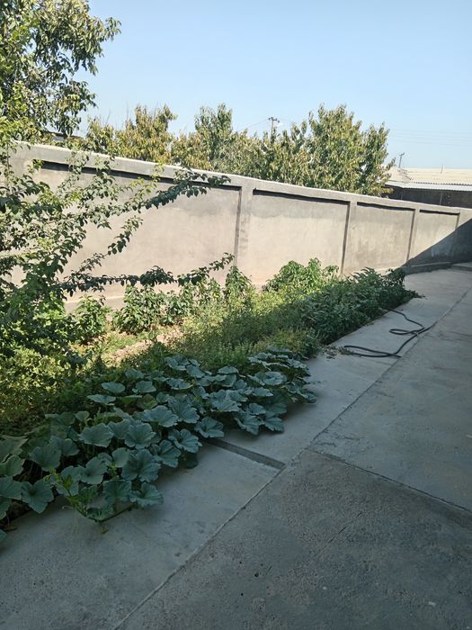 Недвижимость продажа