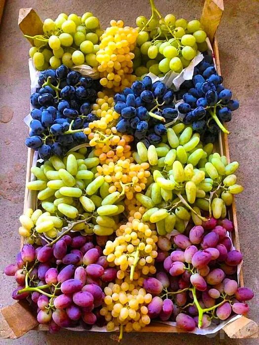 Kuchatlar meva agro