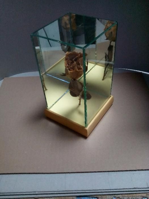 Роза за свети валентин или 8 март