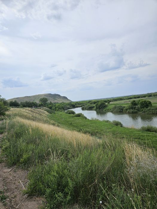 Продам дачу в  обществе Металлург Спп .