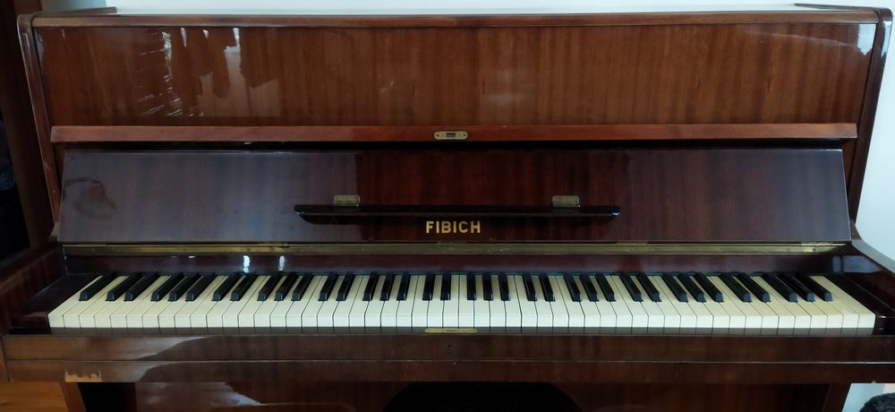 Пианино FIBICH 110