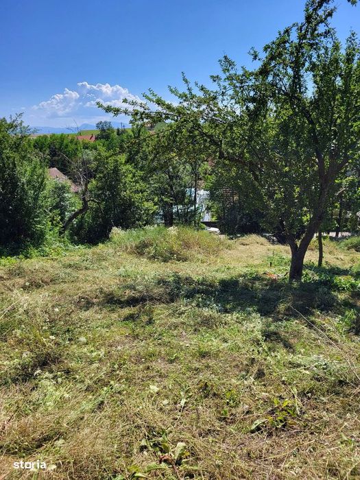 Reducere 6000Eu! Teren Intravilan Cu O Priveliște Superba |1.500 Mp