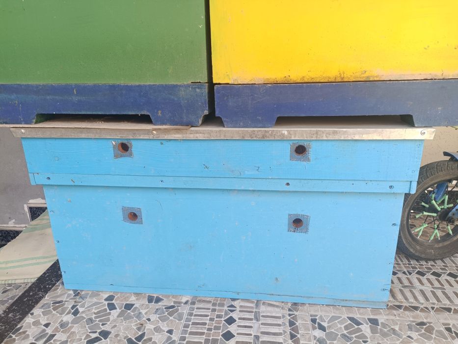 Асал ари уяси сотилади.