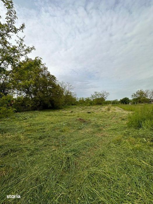 Teren intravilan Prundu - oportunitate excelenta de investitie!