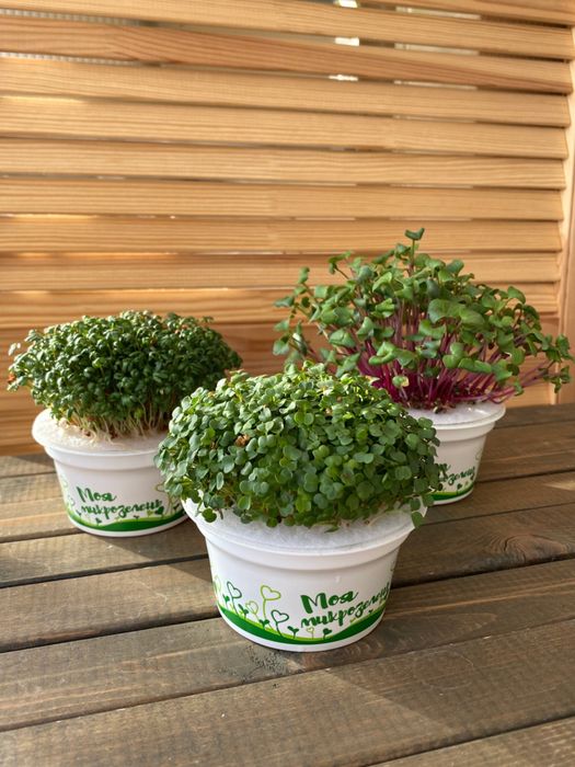 Стаканчик для проращивания микрозелени