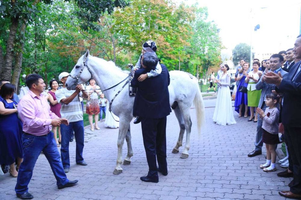 конь, пони, трон