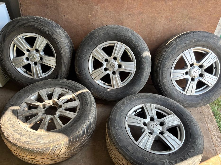 Продается Ризина с диском