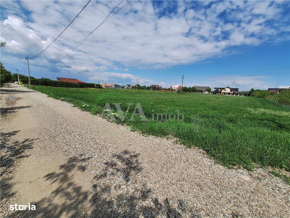 Teren intravilan 3177 mp, zona Serbanesti