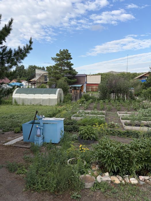 Продам дачу за самсоновкой, кооператив «мелиоратор»