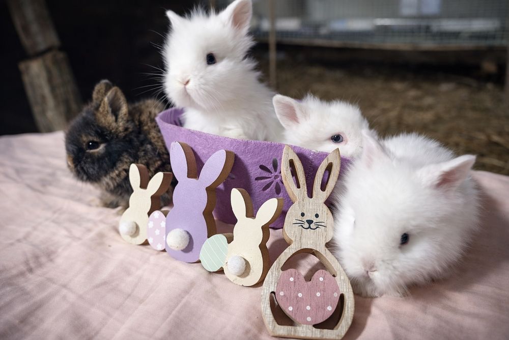 Iepurași Cap de leu pitici pentru apartament cadou pentru copi Paște i