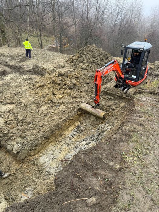 Mini-excavator 3 tone de inchiriat / duba basculabila 3.5 tone