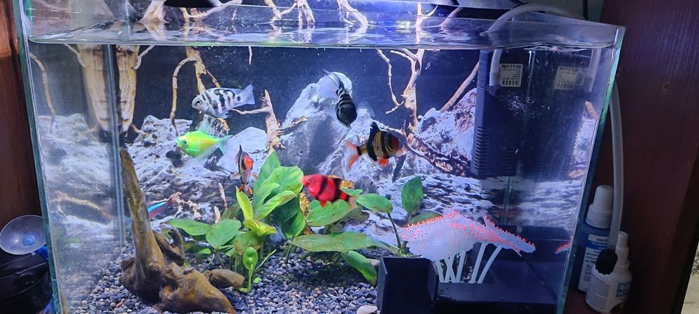 Продам аквариум 15 литров