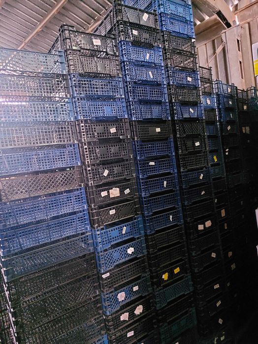 Гъбени каси като нови