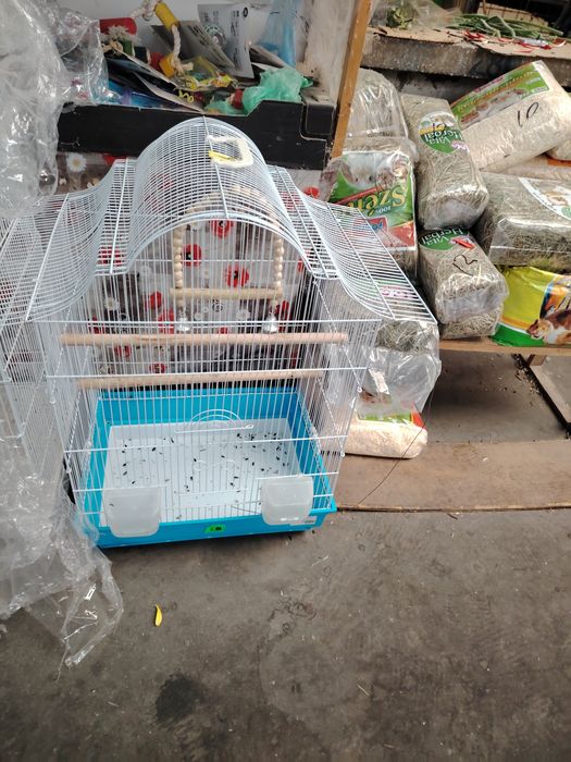 Colivii pasari mici si medii