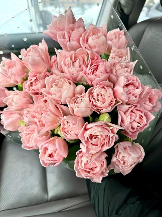 Свежие тюльпаны собственного производства