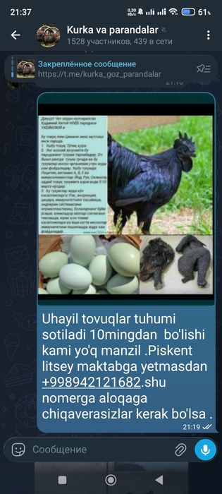 Uhayil tuhumlari bor bostirishga va istemol urug'langan ishonchlik ga